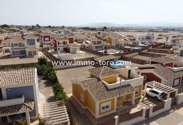 Nouvelle construction - Villa - Purias