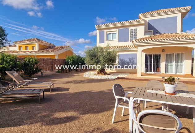 Nouvelle construction - Villa - Purias