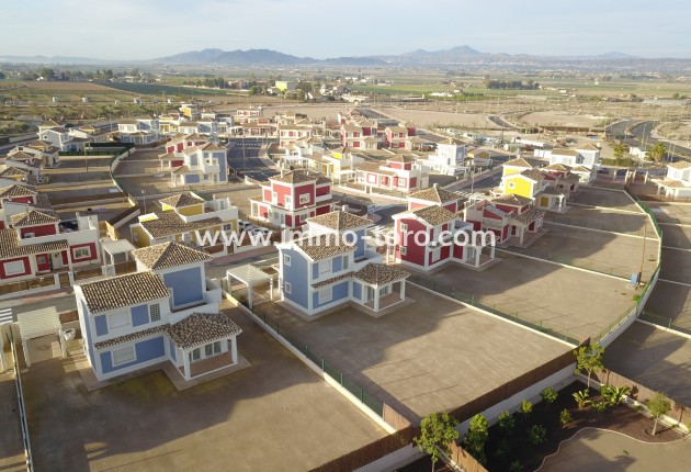 Nouvelle construction - Villa - Purias