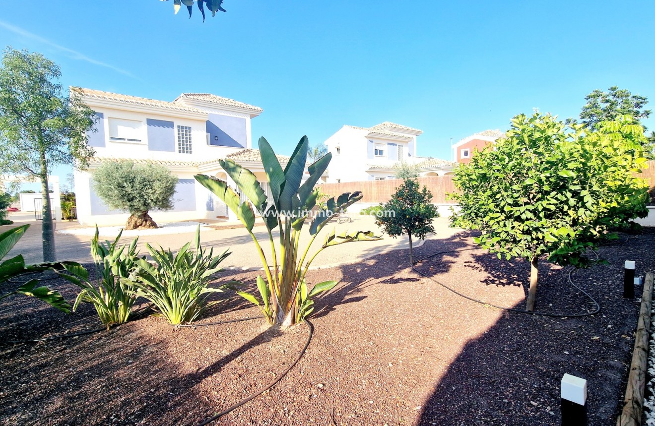 Nueva construcción  - Villa / Chalet - Purias