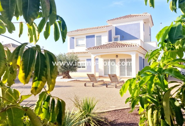 Nueva construcción  - Villa / Chalet - Purias