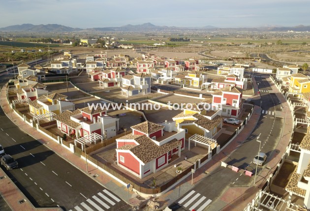 New Build - Villa - Purias