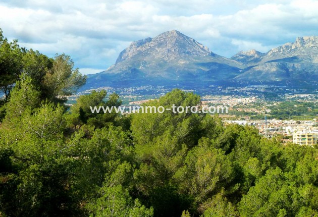 Nouvelle construction - Appartement - Finestrat