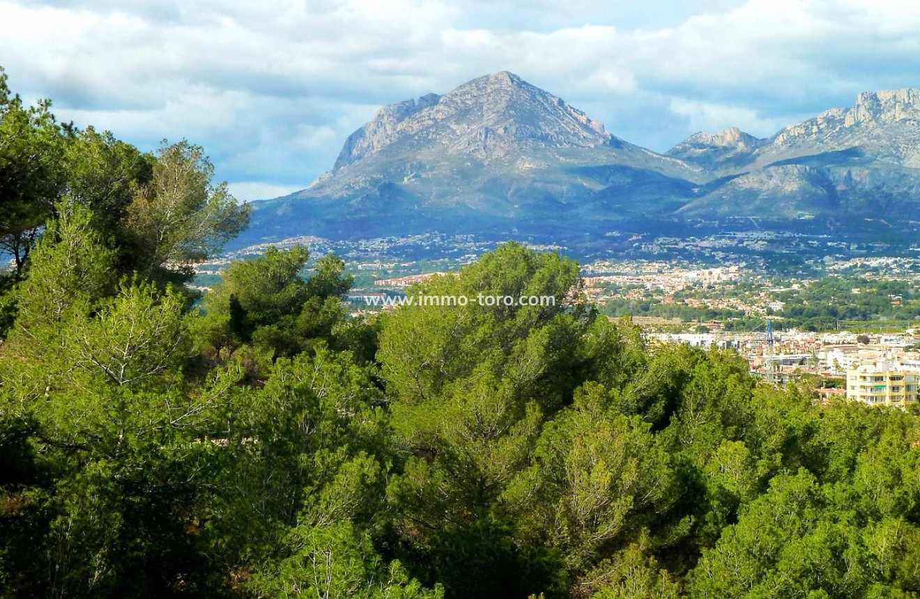 Nouvelle construction - Appartement - Finestrat