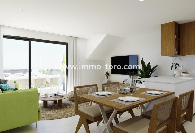 New Build - Detached house / Townhouse - Torrevieja