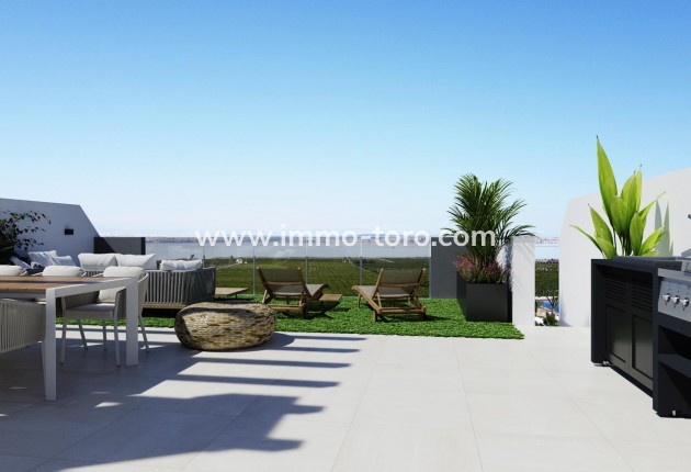 New Build - Detached house / Townhouse - Torrevieja