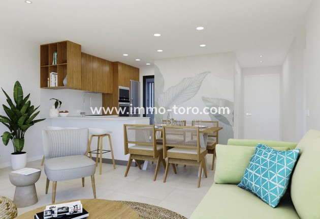 New Build - Penthouse - Torrevieja