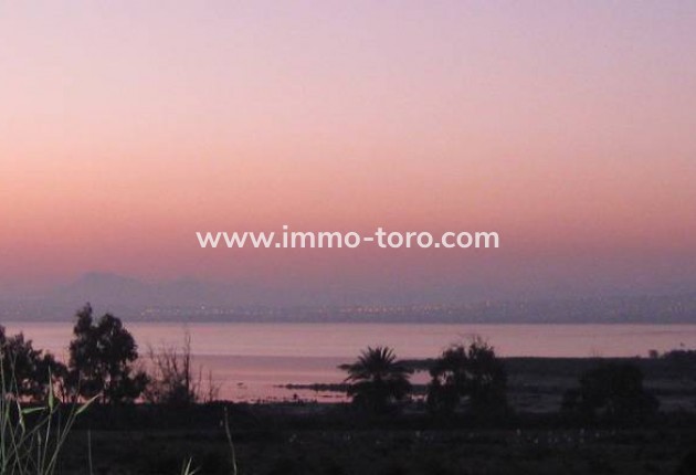 Nieuwbouw - Appartement  - Guardamar - Guardamar del Segura