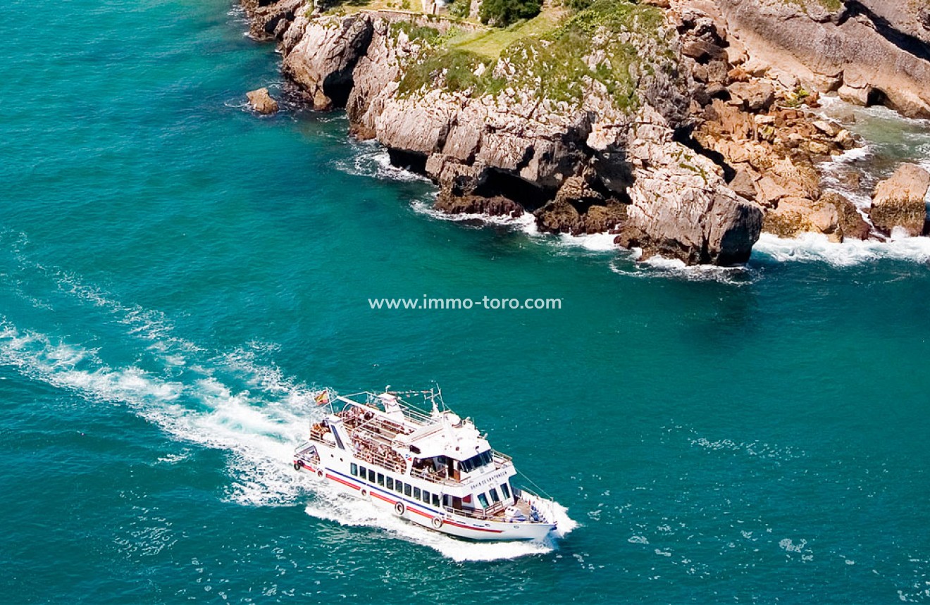 Nueva construcción  -  - Guardamar - Guardamar del Segura