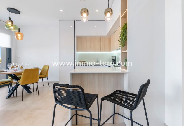 New Build -  - Torrevieja