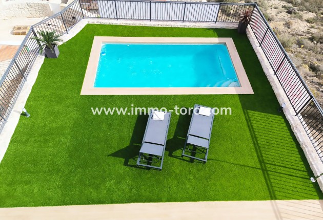 New Build - Villa - Algorfa