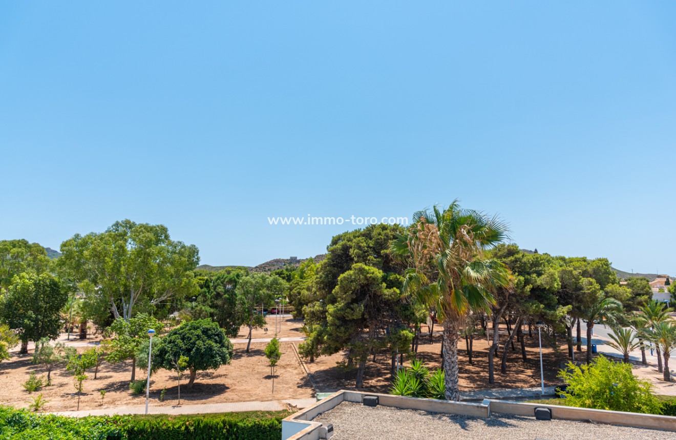 Nieuwbouw - Villa - Playa Paraiso