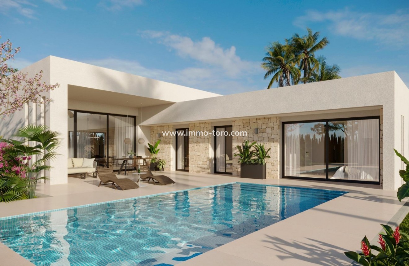 Nueva construcción  - Villa / Chalet - Aspe