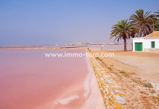 Nieuwbouw - Appartement  - San Pedro del Pinatar