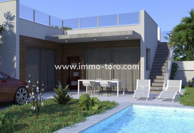 New Build - Villa - Rojales