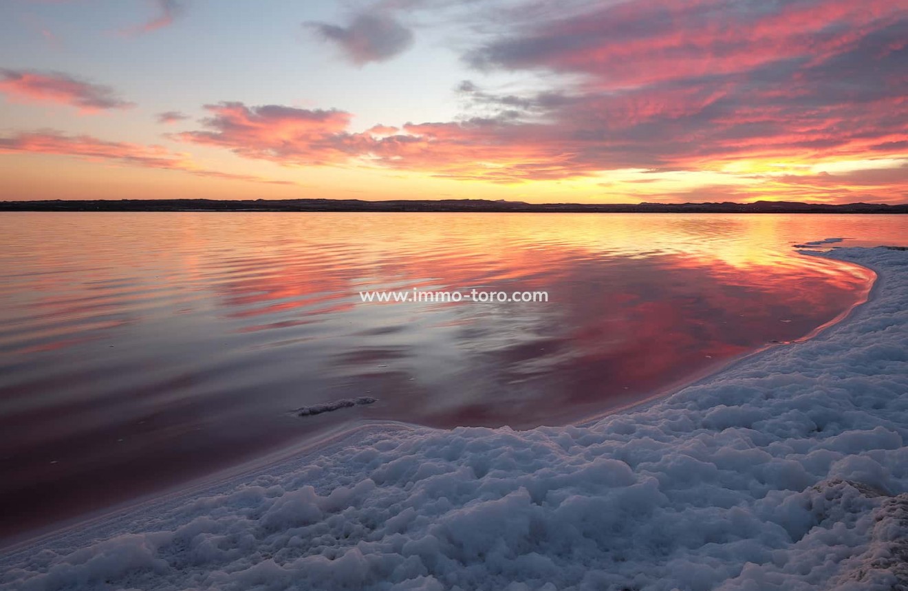 Nueva construcción  - Apartamento - Torrevieja