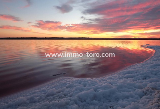 Nueva construcción  - Apartamento - Torrevieja