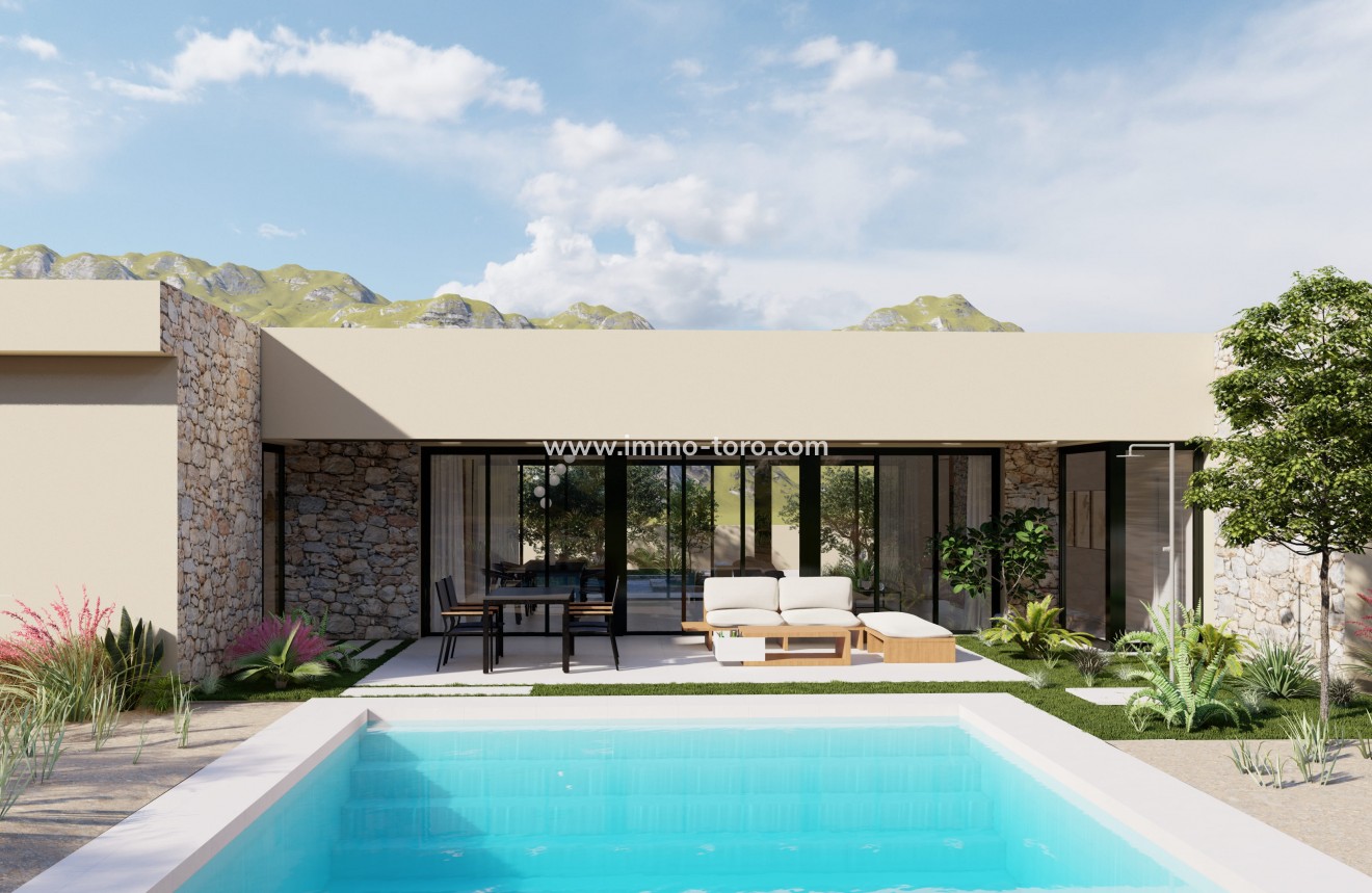 Nouvelle construction - Villa - Yecla