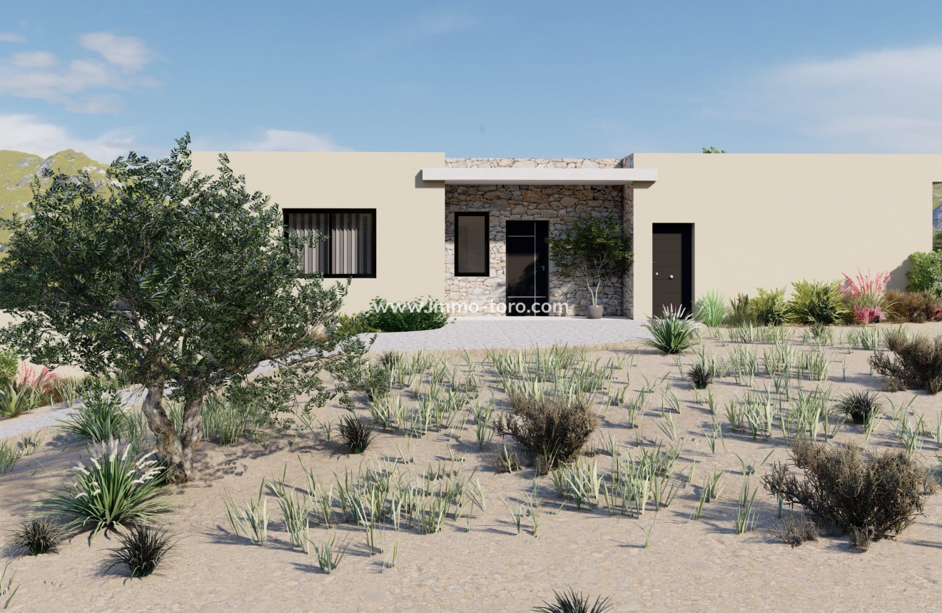 Nouvelle construction - Villa - Yecla