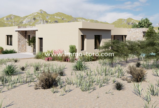 Nouvelle construction - Villa - Yecla