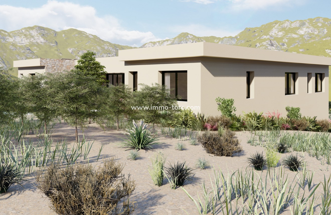 Nouvelle construction - Villa - Yecla