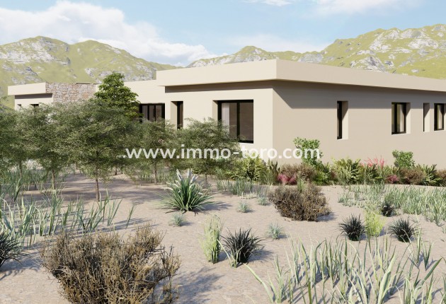 Nouvelle construction - Villa - Yecla