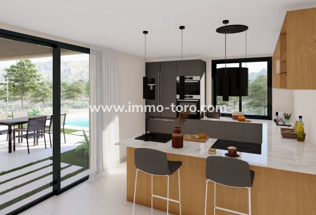 Nouvelle construction - Villa - Yecla