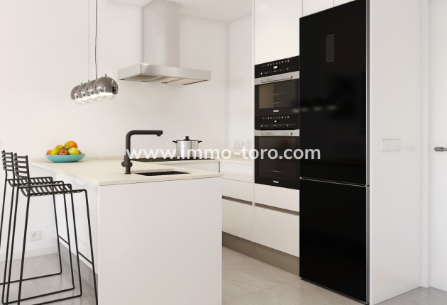 New Build - Detached house / Townhouse - Pilar de la Horadada