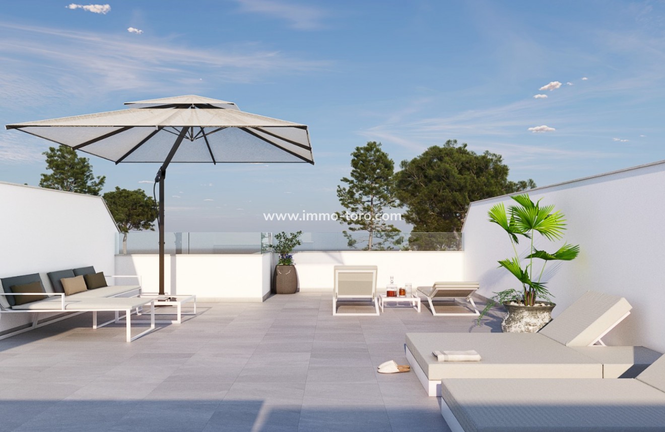 New Build - Detached house / Townhouse - Pilar de la Horadada