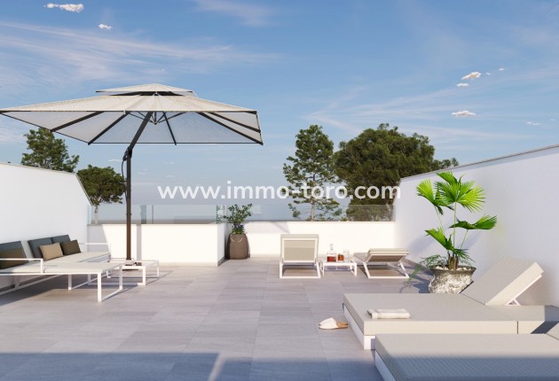 New Build - Detached house / Townhouse - Pilar de la Horadada