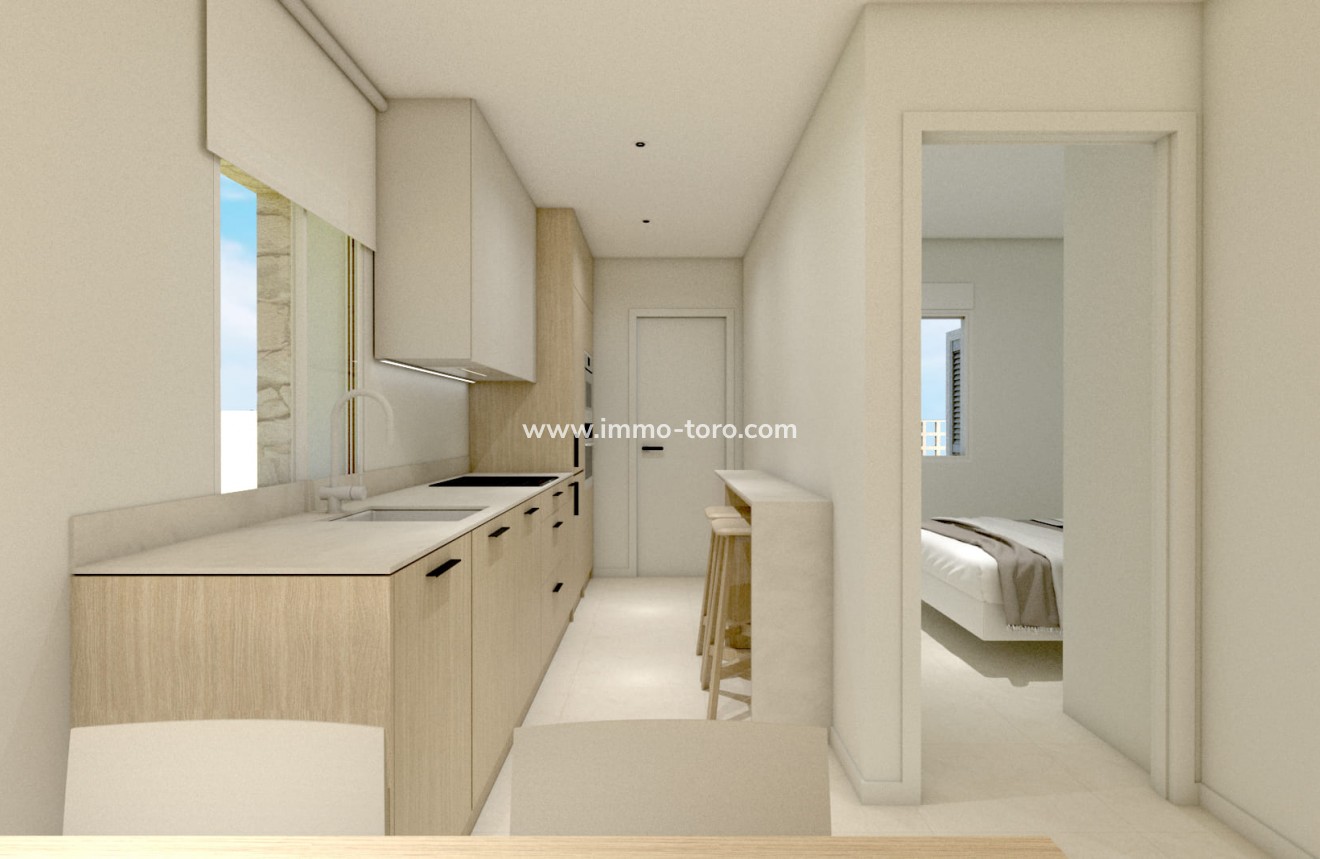 Nieuwbouw - Appartement  - Torre de la Horadada