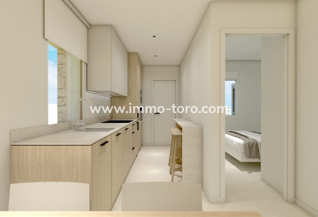 Nieuwbouw - Appartement  - Torre de la Horadada