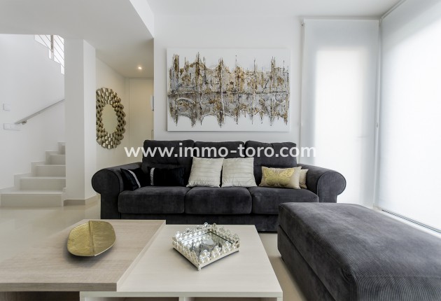 Nouvelle construction - Villa - San Miguel de Salinas