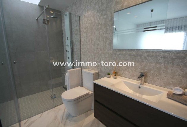 Nouvelle construction - Villa - San Miguel de Salinas