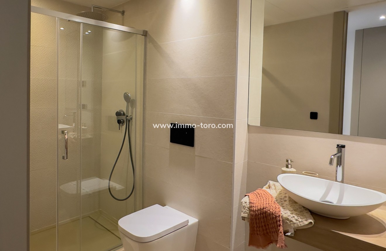 New Build - Apartment - Algorfa