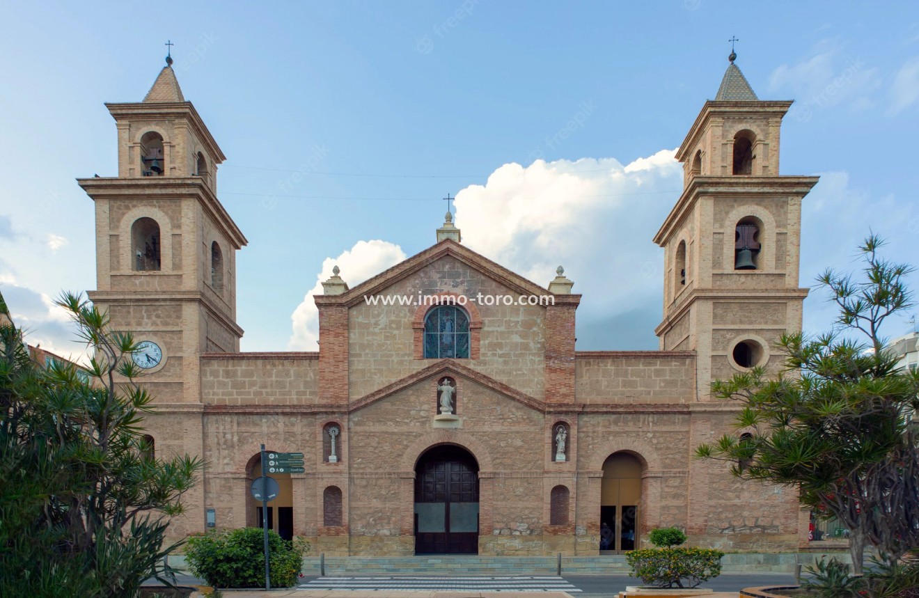 Nieuwbouw - Villa - Algorfa