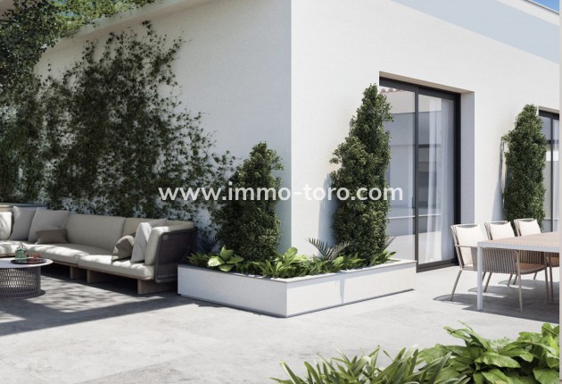 Nieuwbouw - Penthouse - Torrevieja