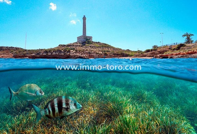 Nouvelle construction - Maison jumelée - San Javier