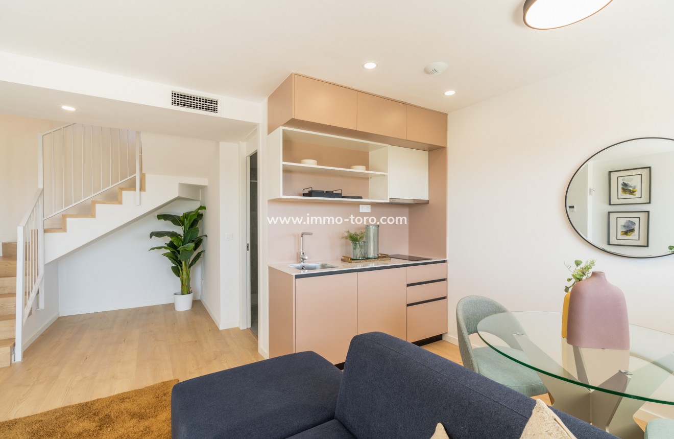 New Build - Detached house / Townhouse - La Nucia - La Nucía