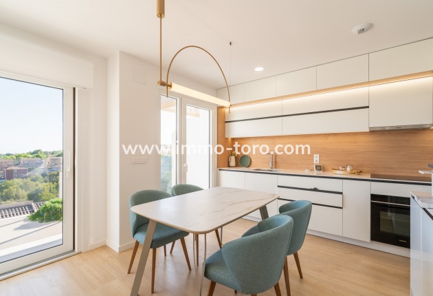 New Build - Detached house / Townhouse - La Nucia - La Nucía