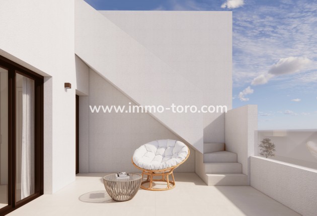 New Build - Detached house / Townhouse - Pilar de la Horadada