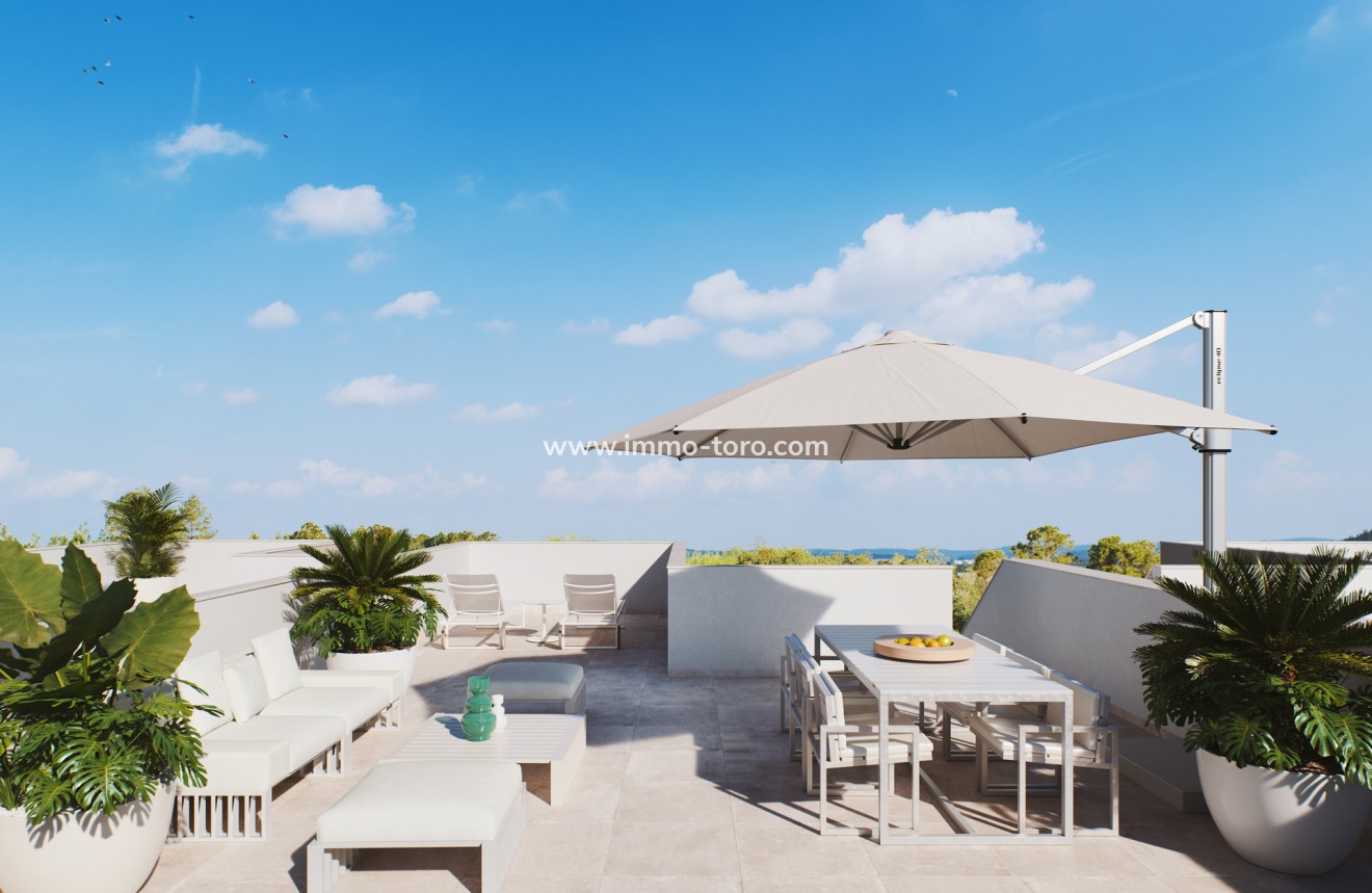 New Build - Detached house / Townhouse - Pilar de la Horadada