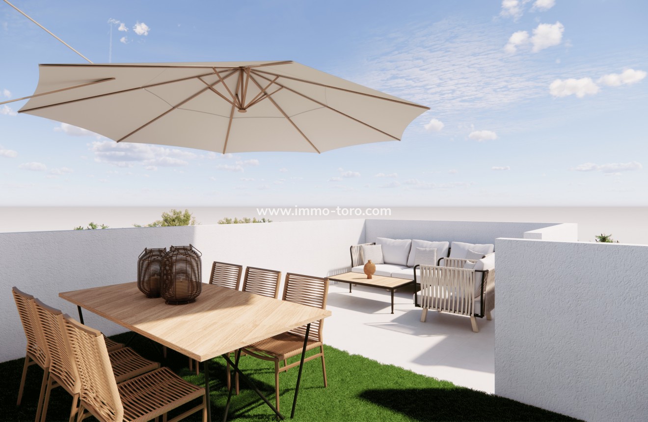 New Build - Detached house / Townhouse - Pilar de la Horadada