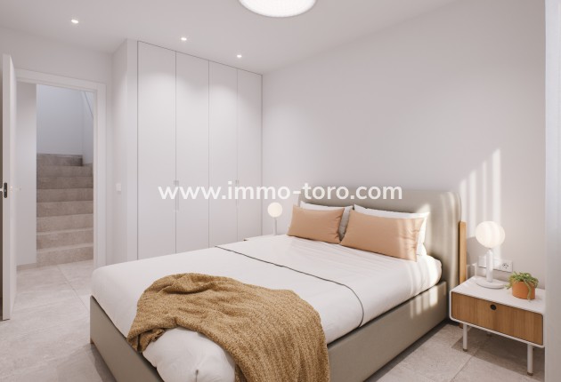 New Build - Detached house / Townhouse - Pilar de la Horadada