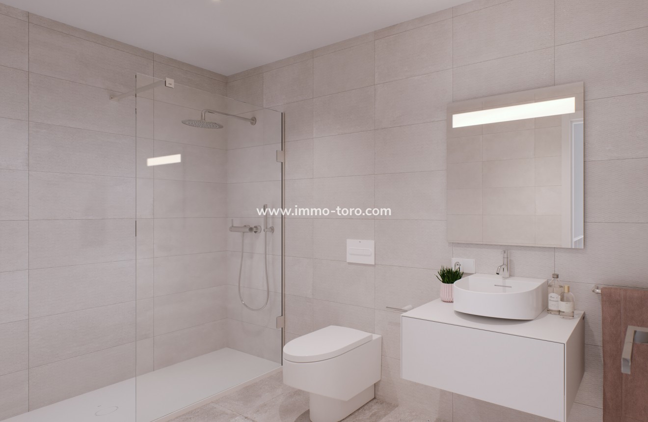 New Build - Detached house / Townhouse - Pilar de la Horadada