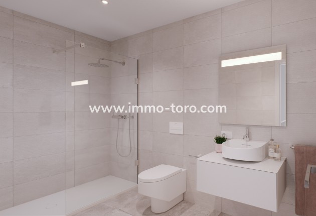 New Build - Detached house / Townhouse - Pilar de la Horadada