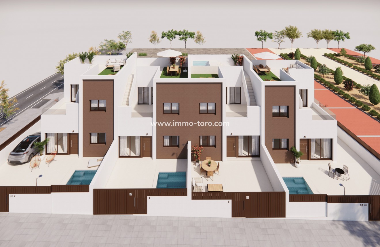 New Build - Detached house / Townhouse - Pilar de la Horadada