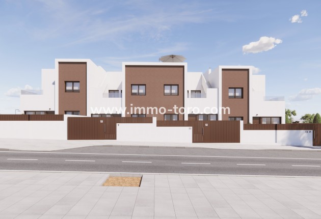 New Build - Detached house / Townhouse - Pilar de la Horadada