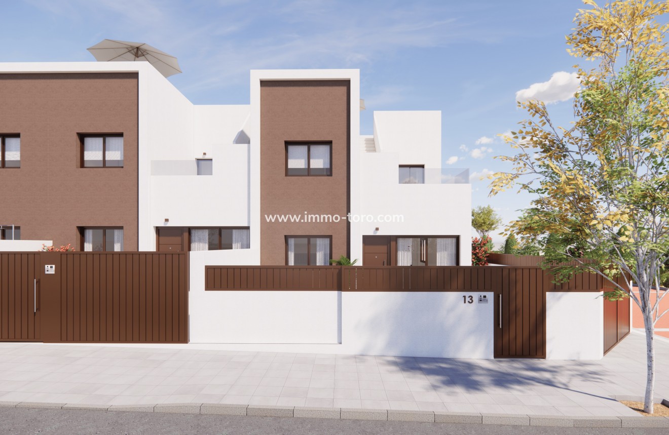 New Build - Detached house / Townhouse - Pilar de la Horadada