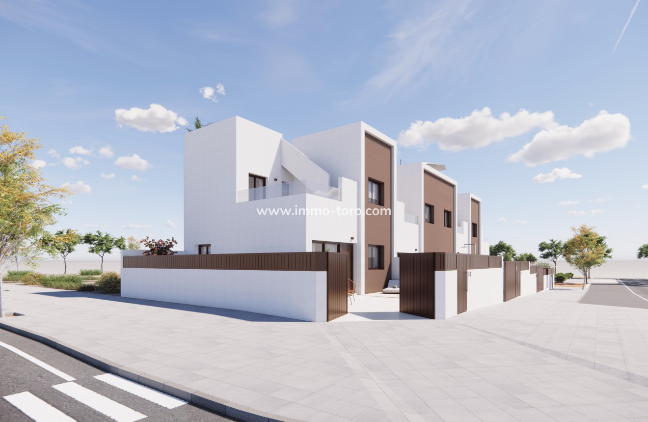New Build - Detached house / Townhouse - Pilar de la Horadada